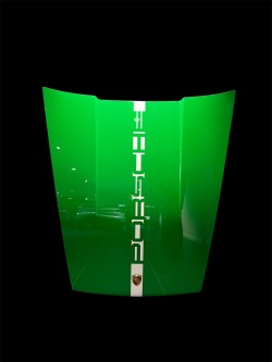 Capot 911 TURBO 50Y - édition France